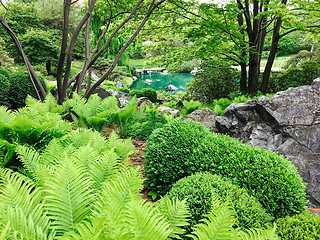 Image showing Beautiful fresh green garden with a turquoise pond