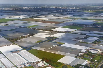 Image showing Greenhouse farming from above