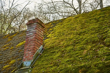 Image showing Roof with moss growing