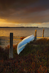 Image showing Golden  light on blue canoe sitting on bed of red fire sticks