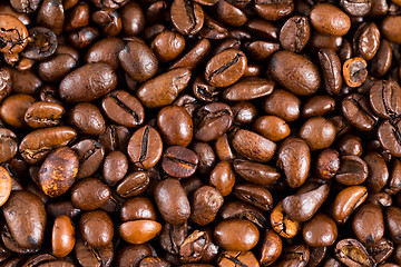 Image showing Coffee bean