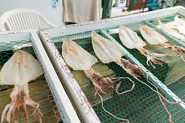 Image showing Dry squid