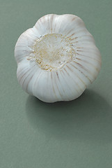 Image showing Garlic