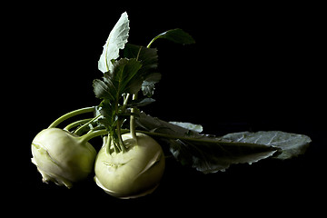 Image showing Two kohlrabies (German turnip or turnip cabbage) with leaves