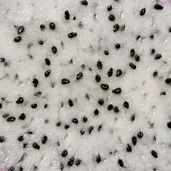 Image showing Pulp of ripe white pitahaya 