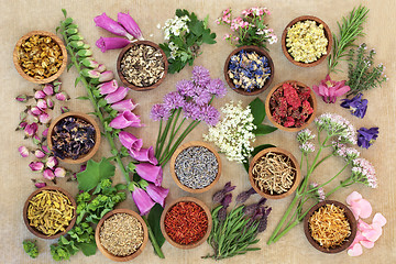 Image showing Herb and Flower Medicinal Selection