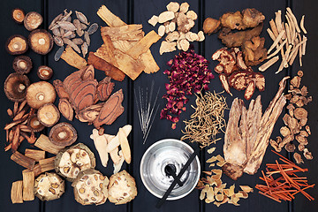 Image showing Acupuncture Therapy and Chinese Herbs