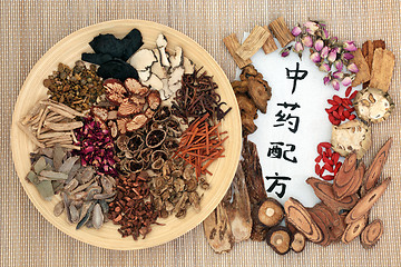 Image showing Chinese Alternative Medicine
