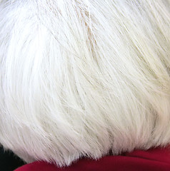 Image showing Female senior citizen.