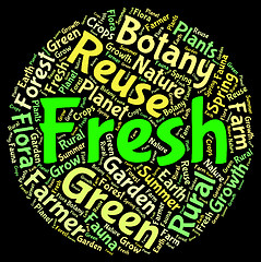 Image showing Fresh Word Indicates Words Fresher And Text