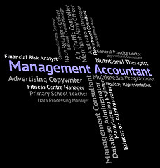 Image showing Management Accountant Indicates Balancing The Books And Accounta