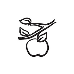 Image showing Apple harvest sketch icon.