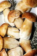 Image showing King boletus mushrooms