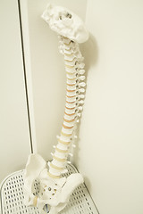 Image showing Physiotherapy