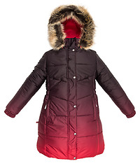 Image showing Women winter jacket