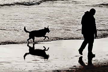 Image showing Playing dog on the beach