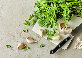 Image showing Parsley and garlic