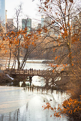 Image showing Beautiful Fall colors at Oak Bridge ,Bank Rock bay, Central Park, New York City, USA