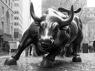 Image showing Charging Bull in Lower Manhattan, NY.