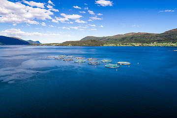 Image showing Farm salmon fishing Aerial FPV drone photography.