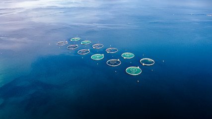 Image showing Farm salmon fishing Aerial FPV drone photography.