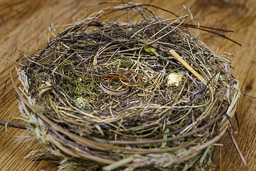 Image showing Gold wedding rings in a real bird's nest