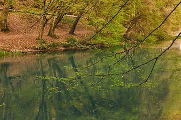 Image showing Small lake with trees