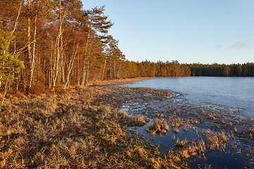 Image showing Lakeside in Finland