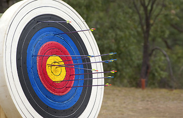 Image showing archery target