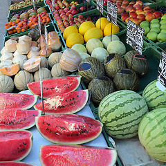 Image showing Food Market