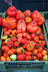 Image showing Tomato in Crate