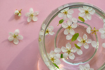 Image showing flowers in bowl of water