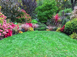 Image showing Colorful plants surrounding a green lawn