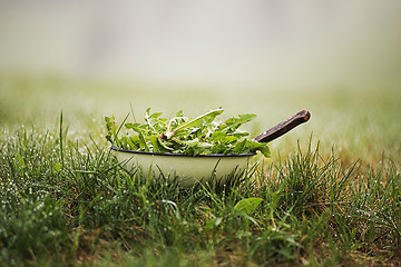 Image showing Dandelion salad