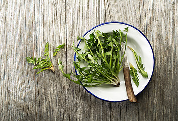 Image showing Dandelion salad