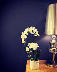 Image showing Beautiful white orchid and classic metal lamp