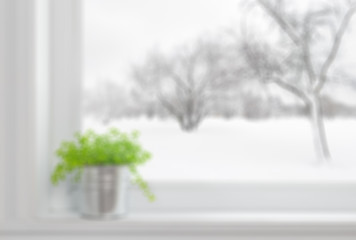 Image showing Defocused image of a green plant on a window sill