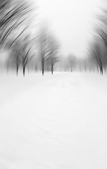 Image showing Winter blizzard motion blur