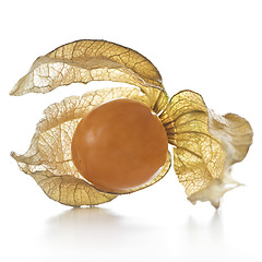 Image showing Physalis, fruit with papery husk