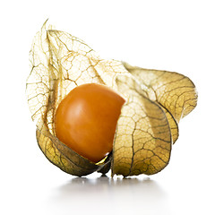 Image showing Physalis, fruit with papery husk