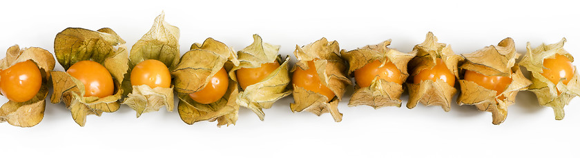 Image showing Physalis, fruits with papery husk