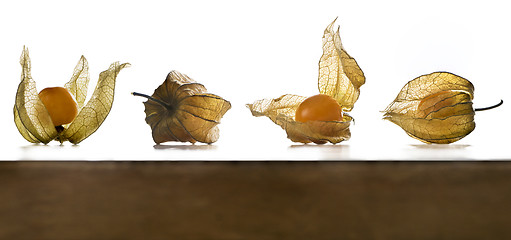 Image showing Physalis, fruits with papery husk