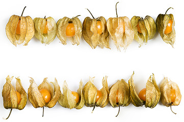 Image showing Physalis, fruits with papery husk