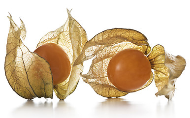 Image showing Physalis, fruits with papery husk