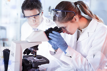 Image showing Life scientist researching in the laboratory.