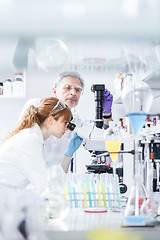 Image showing Health care researchers microscoping in scientific laboratory.