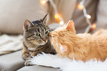 Image showing two cats lying on sofa with sheepskin at home