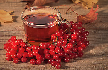 Image showing Black tea with a viburnum