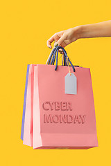 Image showing Female hand holding bright shopping bags