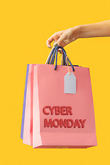 Image showing Female hand holding bright shopping bags